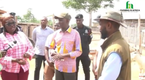 #SemanhyiaFarms: Minister Steps In To Save "Taboo Goats Farm"